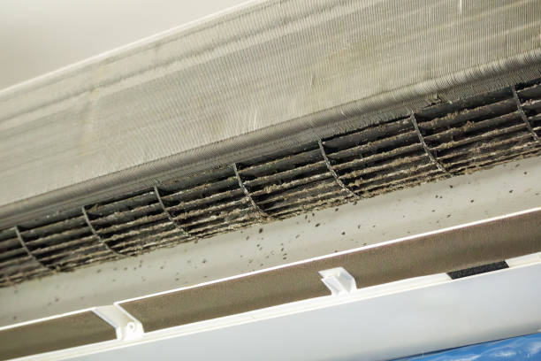 Best Emergency Air Duct Cleaning  in West Terre Haute, IN